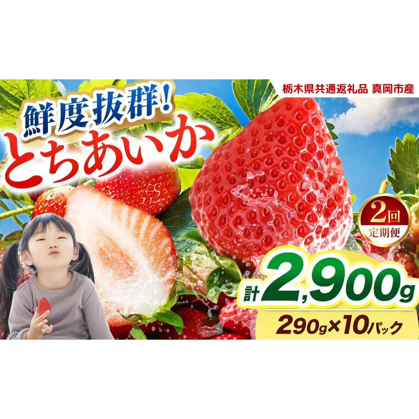  【2027年先行予約】〔定期便2回〕鮮度抜群 いちご とちあいか 290g×10P【栃木県共通返礼品 真岡市産】 栃木県矢板市