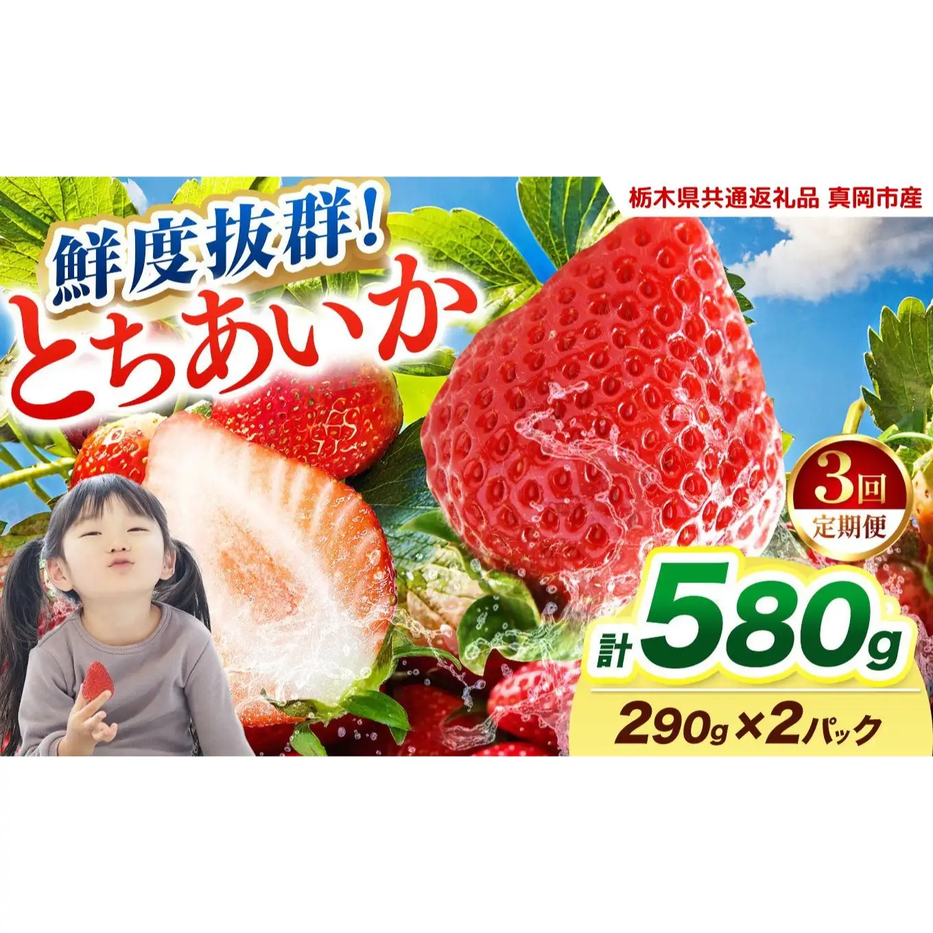 【2027年先行予約】〔定期便3回〕鮮度抜群 いちご とちあいか 290g×2P【栃木県共通返礼品 真岡市産】 栃木県矢板市