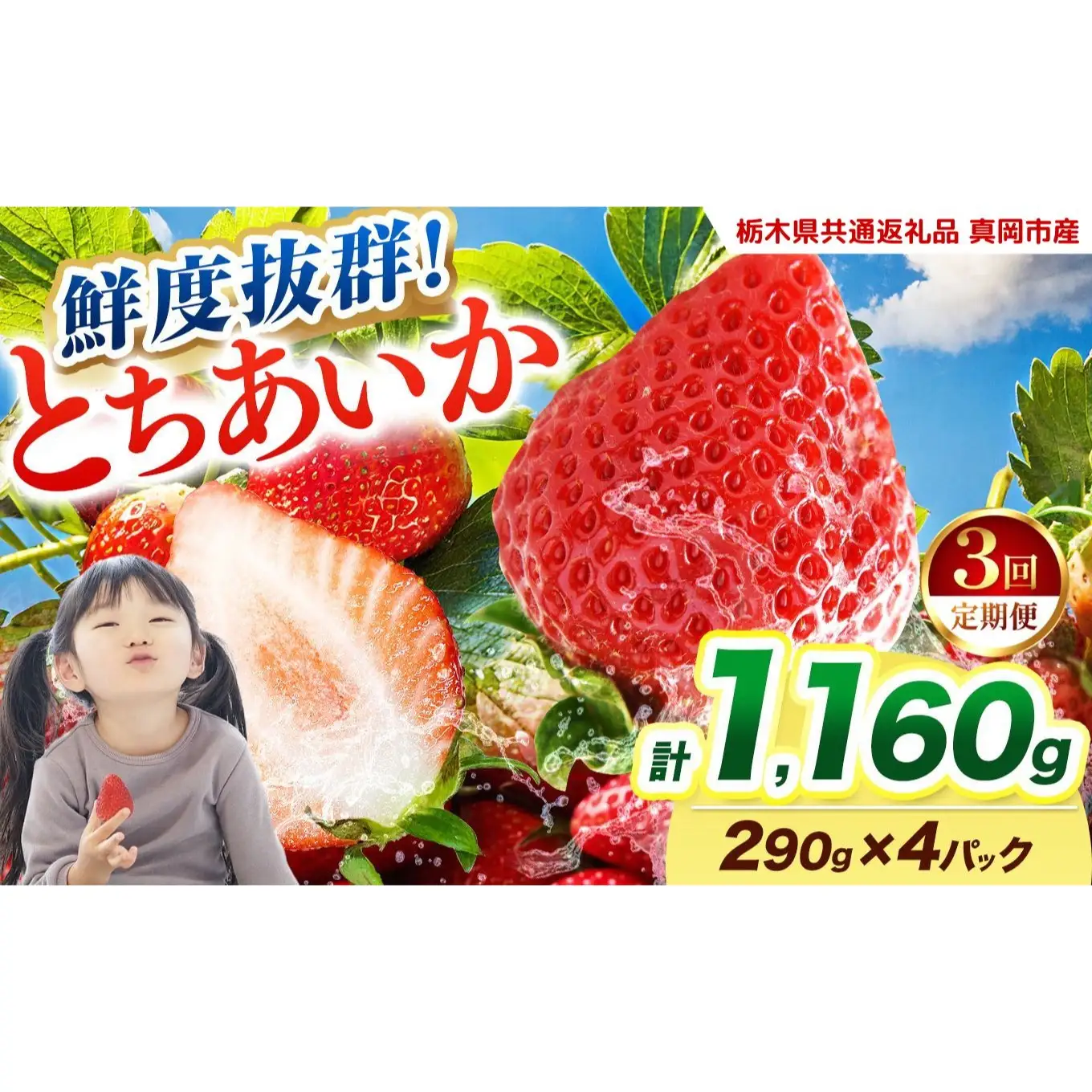  【2027年先行予約】〔定期便3回〕鮮度抜群 いちご とちあいか 290g×4P【栃木県共通返礼品 真岡市産】 栃木県矢板市