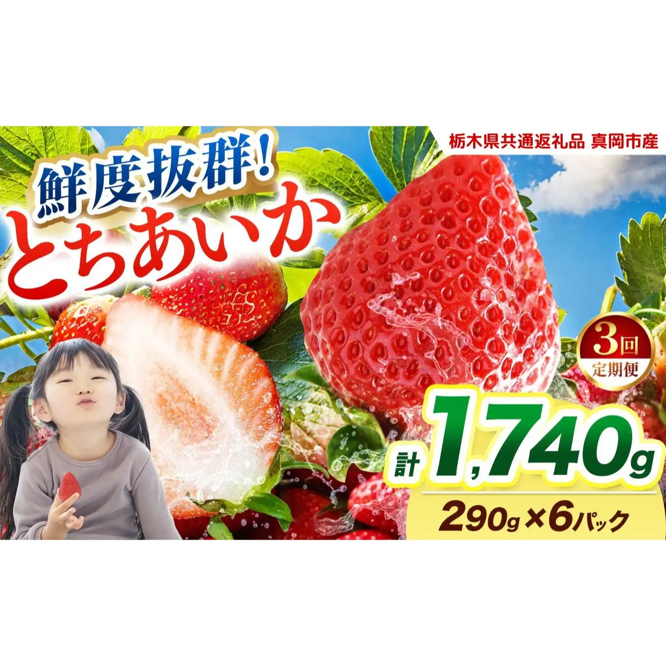  【2027年先行予約】〔定期便3回〕鮮度抜群 いちご とちあいか 290g×6P【栃木県共通返礼品 真岡市産】 栃木県矢板市