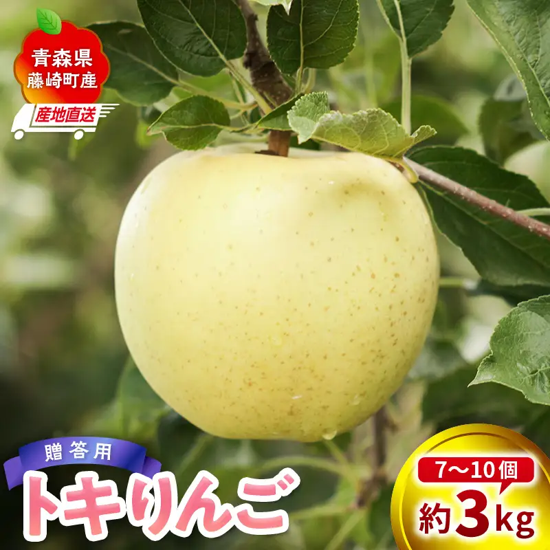 ＜産地直送＞ トキ 贈答用 約3kg (7～10個) 【前田農園】 青森りんご F41-0083