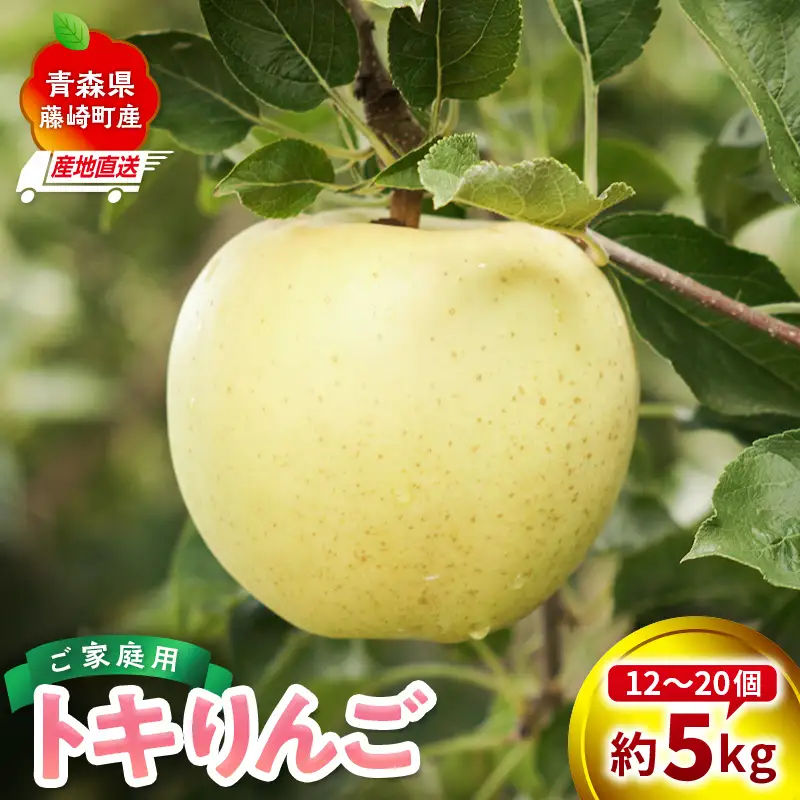 ＜産地直送＞ 訳あり トキ 約5kg (12～20個) 【前田農園】 青森りんご 41-0085