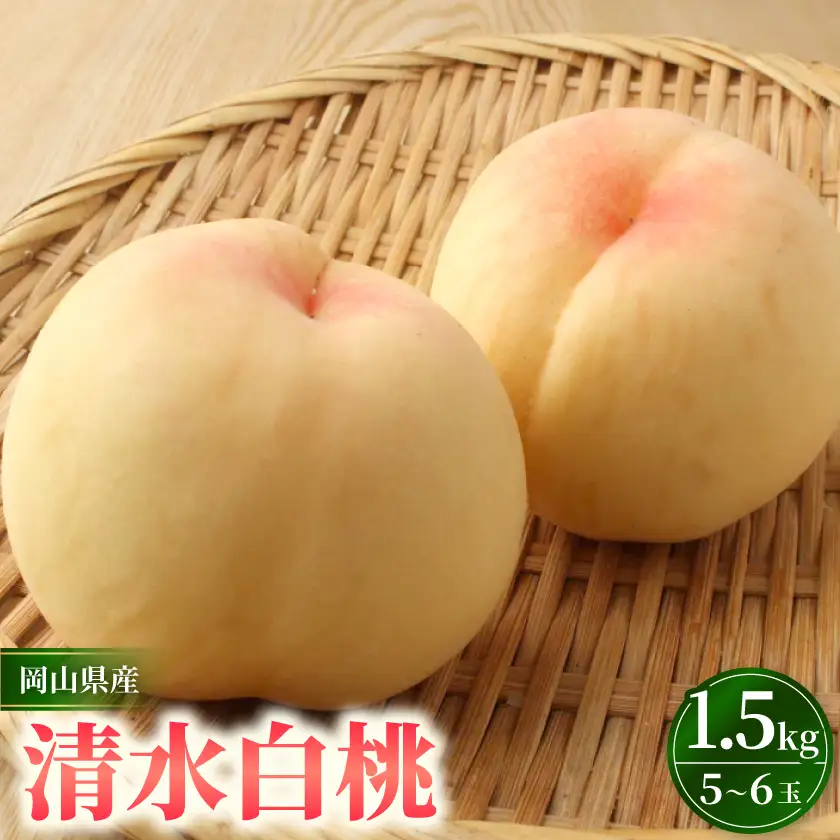 岡山市　一宮産　清水白桃　5～6玉入り　1.5キロ 化粧箱入り【配送不可地域：離島・北海道・沖縄県・東北・関東・信越、北陸】【1726290】