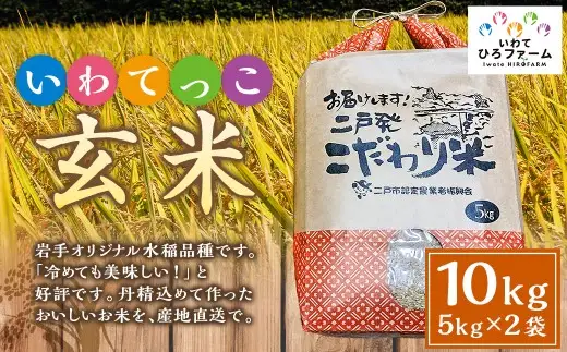 令和7年産 いわてっこ 玄米 10kg（5kg×2袋） ／ 米 お米 ご飯 飯 こめ コメ 産地直送 産地 直送 国産 岩手県産