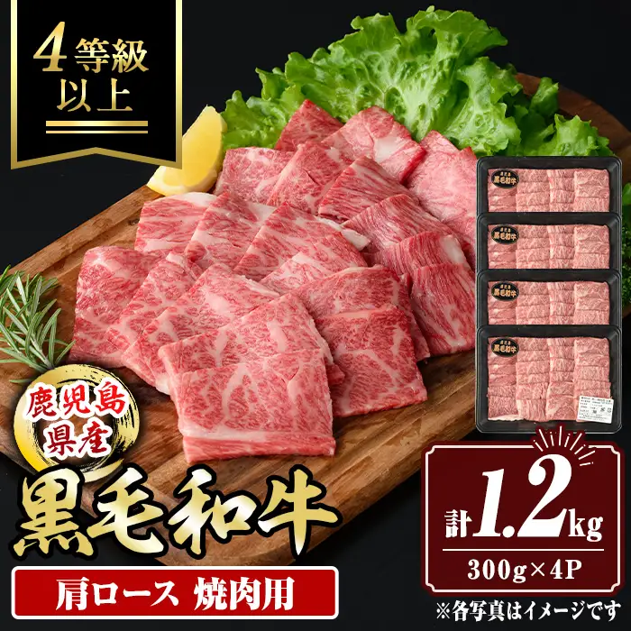 isa882 鹿児島県産黒毛和牛 肩ロース焼肉用(計1.2kg・300g×4P) 4等級以上！ 国産 牛肉 霜降り 国産 牛肉 霜降り 家庭用 冷凍 【サンキョーミート株式会社】