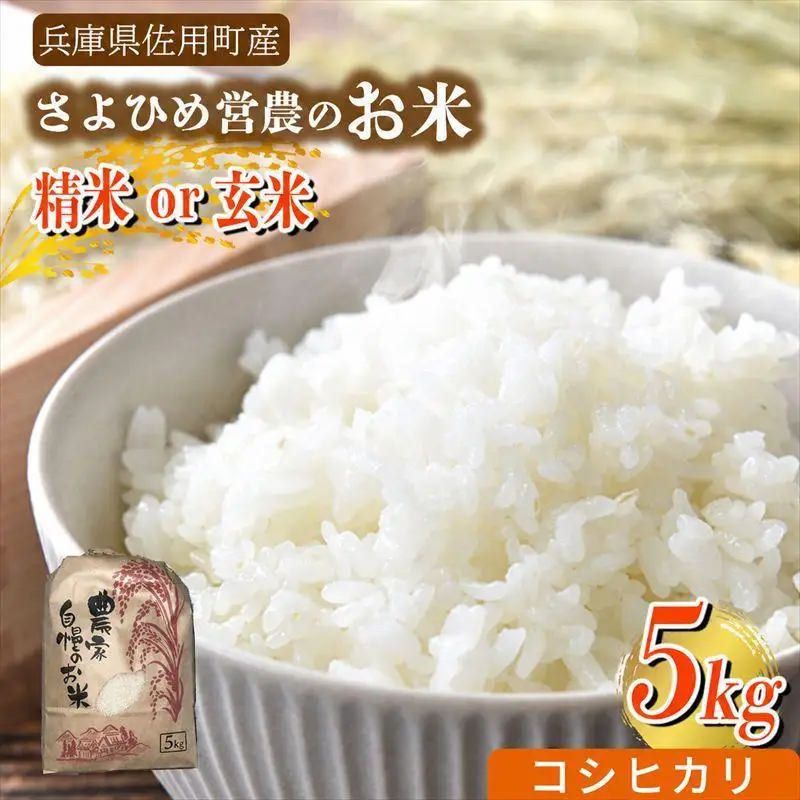 【兵庫県佐用町産】さよひめ営農のお米 5kg コシヒカリ/玄米