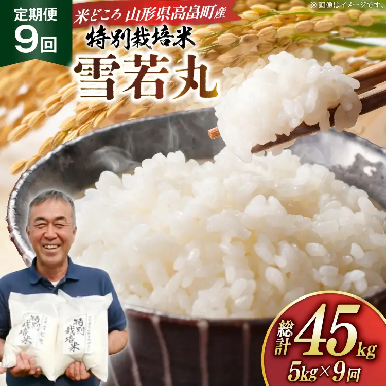 米 定期便 9回 令和8年産 特別栽培米 雪若丸 5kg 9回 計45kg