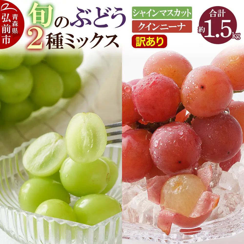 【26年10月～発送】ぶどう【訳あり】旬のぶどう2種ミックス 約1.5kg（シャインマスカット、クインニーナ）まもる農園 青森県 弘前市