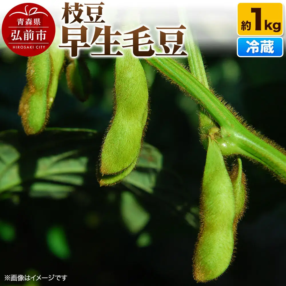 【26年8月下旬～クール便発送】枝豆 早生毛豆 約1kg まもる農園 青森県 弘前市