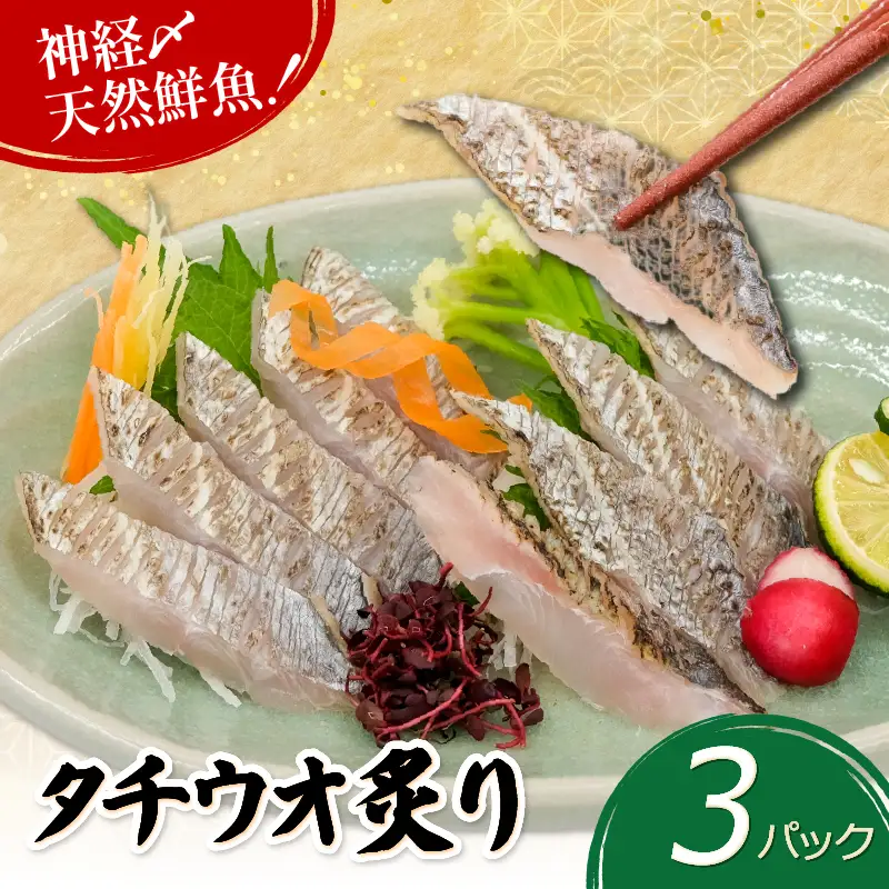 タチウオ炙り 3パック(50g×3) 太刀魚 タチウオ 刺身 神経締め