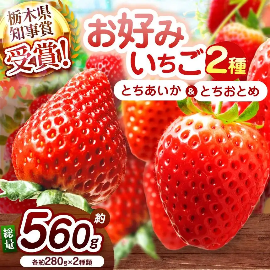 【2027年先行予約】新定番とちあいか＆元祖とちおとめ 食べ比べセット 560g
