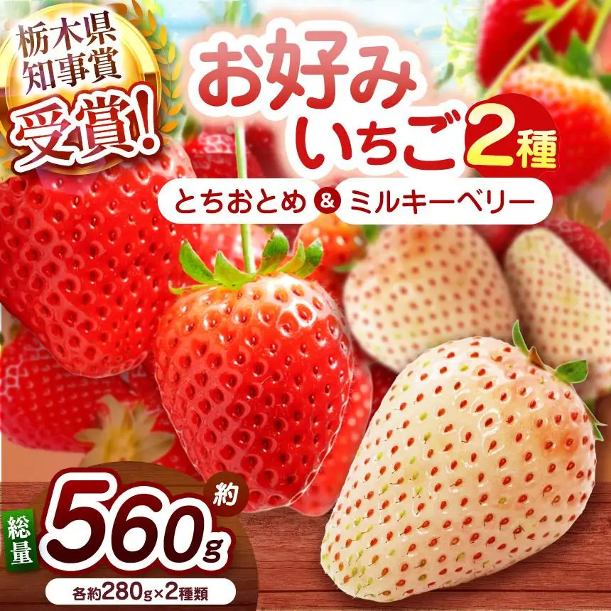 【2027年先行予約】元祖とちおとめ×白いちごミルキーベリー 食べ比べセット 560g