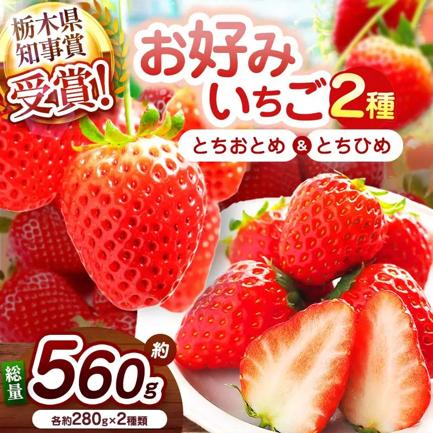 【2027年先行予約】元祖とちおとめ×幻のとちひめ 食べ比べセット 560g