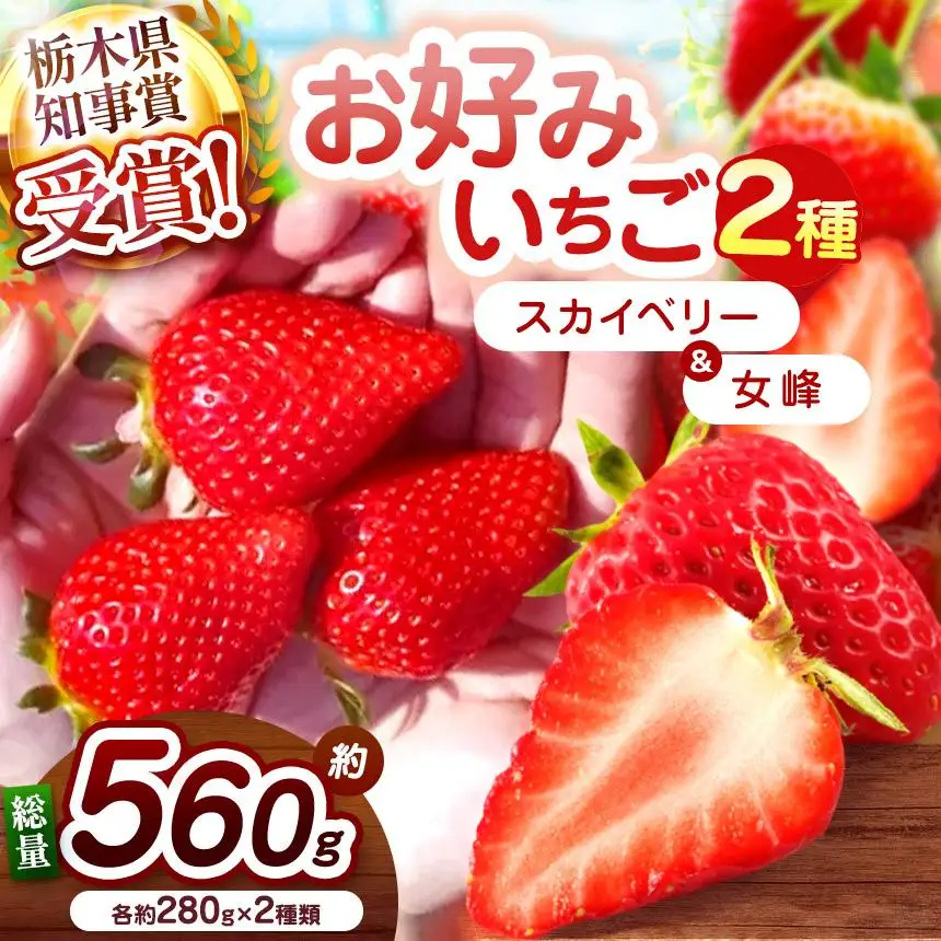 【2027年先行予約】大粒スカイベリー×伝統の女峰 食べ比べセット 560g