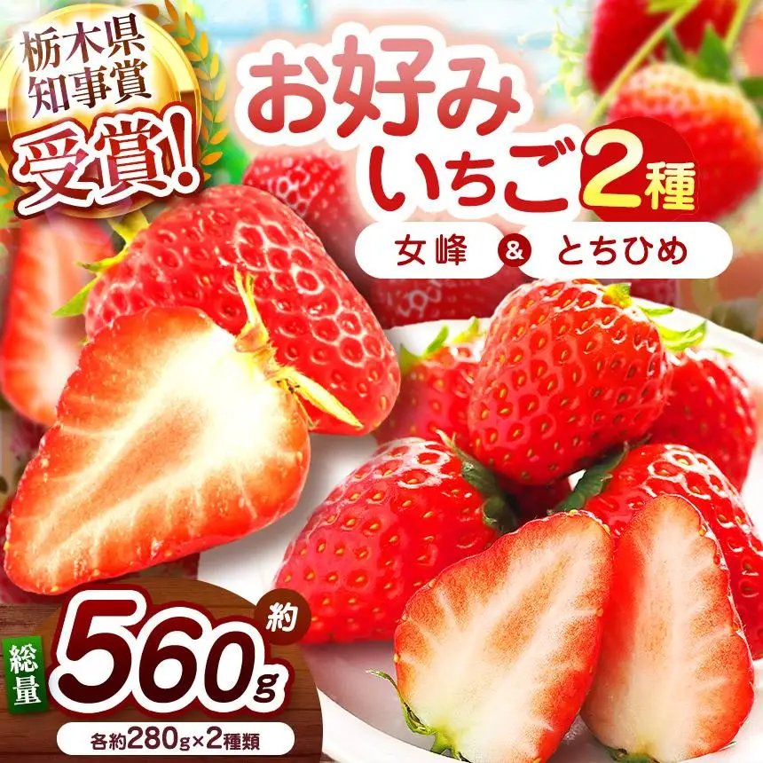 【2027年先行予約】幻のとちひめ×伝統の女峰 食べ比べセット 560g