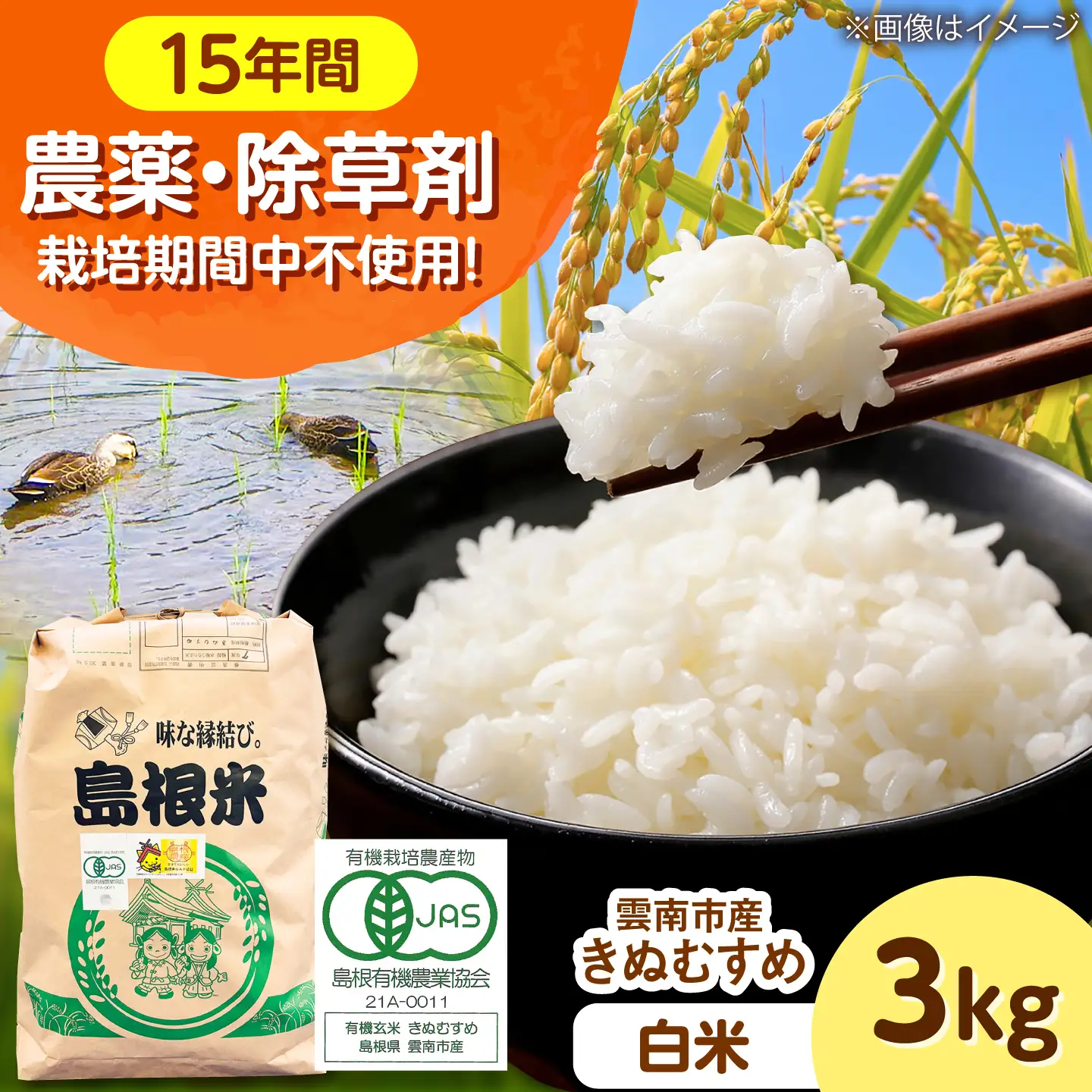 【有機JAS認証】有機栽培米きぬむすめ 3kg 令和7年産 精米 白米 島根県雲南市/佐藤ファーム[AIEO001]