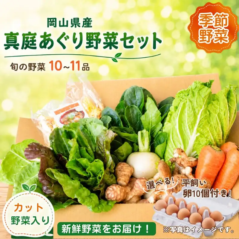 まにわの野菜 真庭あぐり野菜セット 10～11品 カット野菜入り 平飼い卵付き  / 詰め合わせ 産地直送 岡山県 真庭市 新鮮 あぐりガーデン 産直工房 国産【配送不可地域：北海道／沖縄県／離島】【jujy055-01】