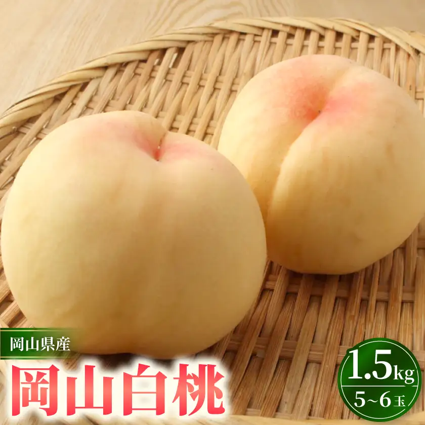 岡山市　一宮産　岡山白桃　5～6玉入り　1.5キロ 化粧箱入り【配送不可地域：離島・北海道・沖縄県・東北・関東・信越、北陸】【1726287】