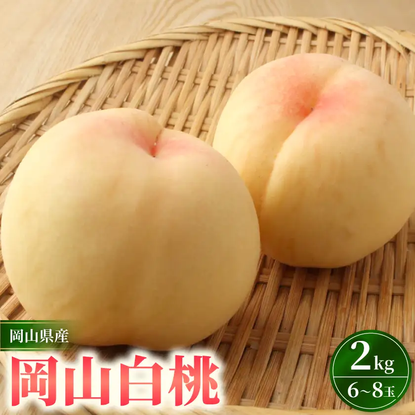 岡山市　一宮産　岡山白桃　6～8玉入り　2キロ 化粧箱入り【配送不可地域：離島・北海道・沖縄県・東北・関東・信越、北陸】【1726288】