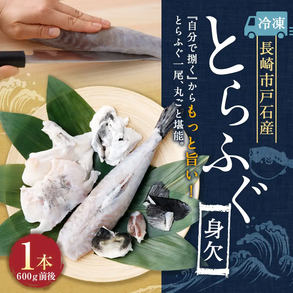戸石産とらふぐ 身欠1本もの （600g前後） 【2026年11月上旬～2027年3月下旬発送予定】 魚 魚類 フグ ふぐ 河豚 とらふぐ 身欠 国産 長崎県産