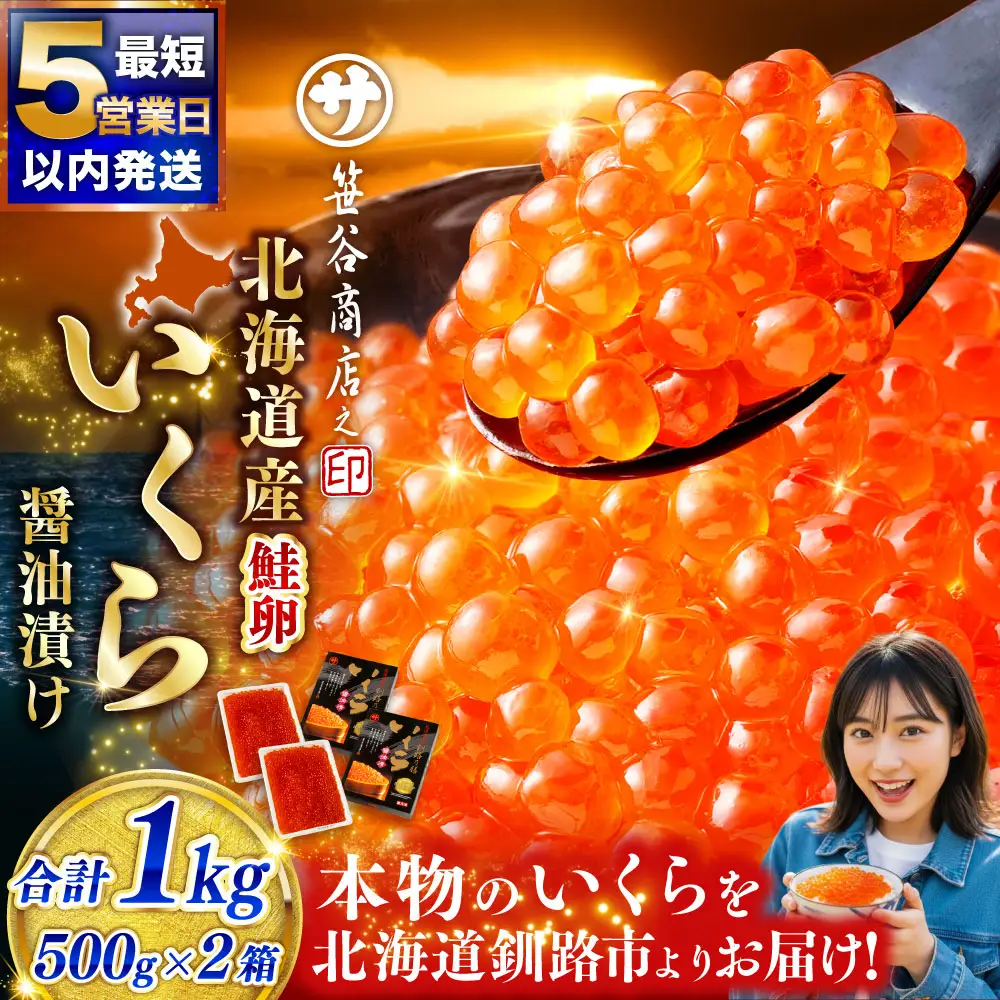 【5営業日以内発送】いくら 500g × 2箱 合計1kg 魚卵 醤油漬け 冷凍 海産物 魚介類 ご飯のお供 海鮮 海鮮丼 国産 北海道産 いくら醤油漬