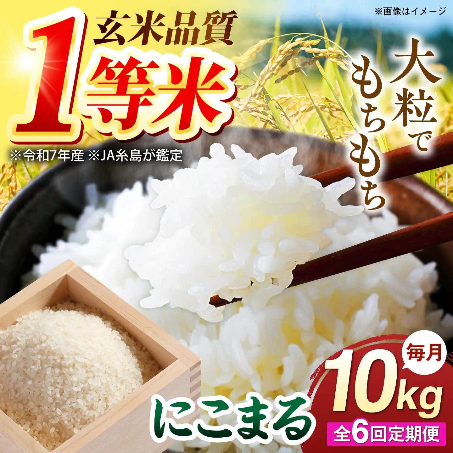 【全6回定期便】 にこまる 玄米品質1等米 白米 10kg 糸島市産 糸島市 / 糸島の恵み コメ こめ ご飯[AGR012]