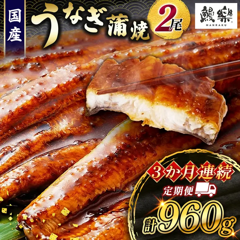 うなぎ 蒲焼 定期便 ＜計3回＞ 鰻 2尾 （計960g） 国産 ウナギ 3か月 連続 人気 ギフト 贈答品 おすすめ 小分け 宮崎県 高鍋町 名物【MR-g-008】