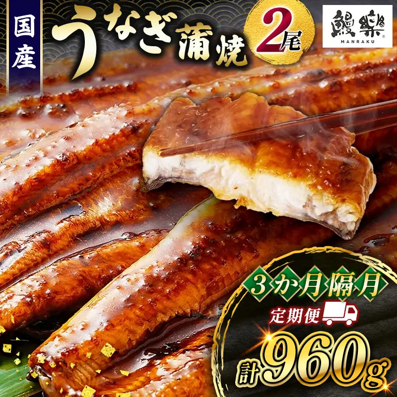 うなぎ 蒲焼 定期便 ＜計3回＞ 鰻 2尾 （計960g） 国産 ウナギ 3か月 隔月 人気 ギフト 贈答品 おすすめ 小分け 宮崎県 高鍋町 名物【MR-g-009】