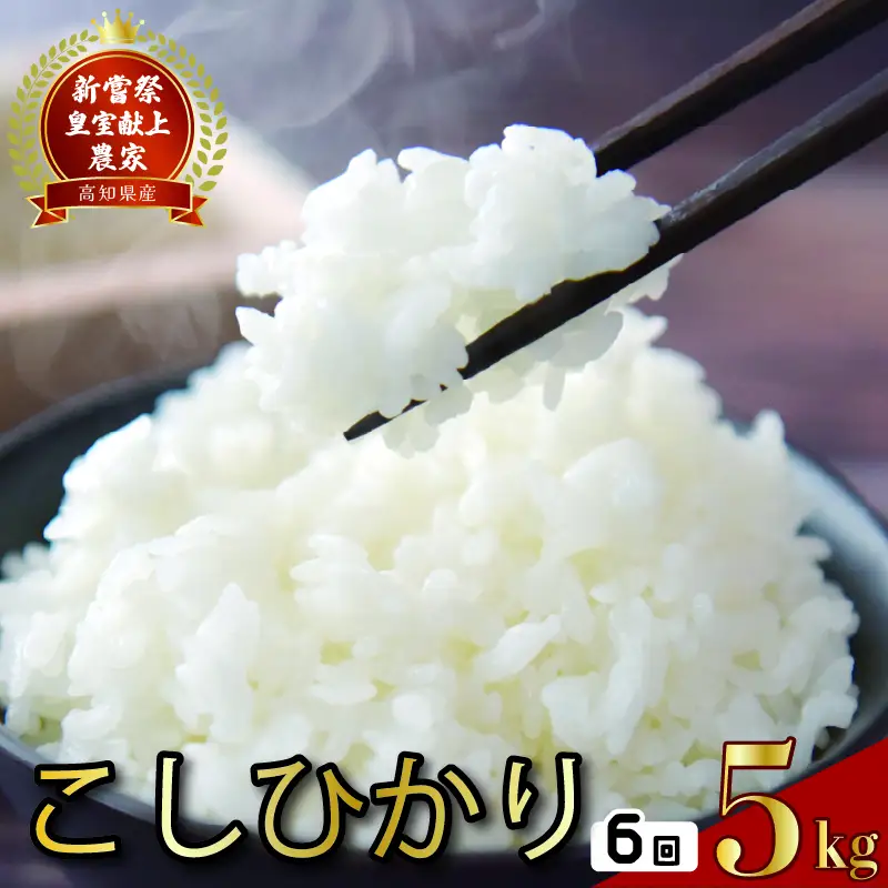 【令和8年産】 新米 定期便 5kg×6回 コシヒカリ 新米 AS019