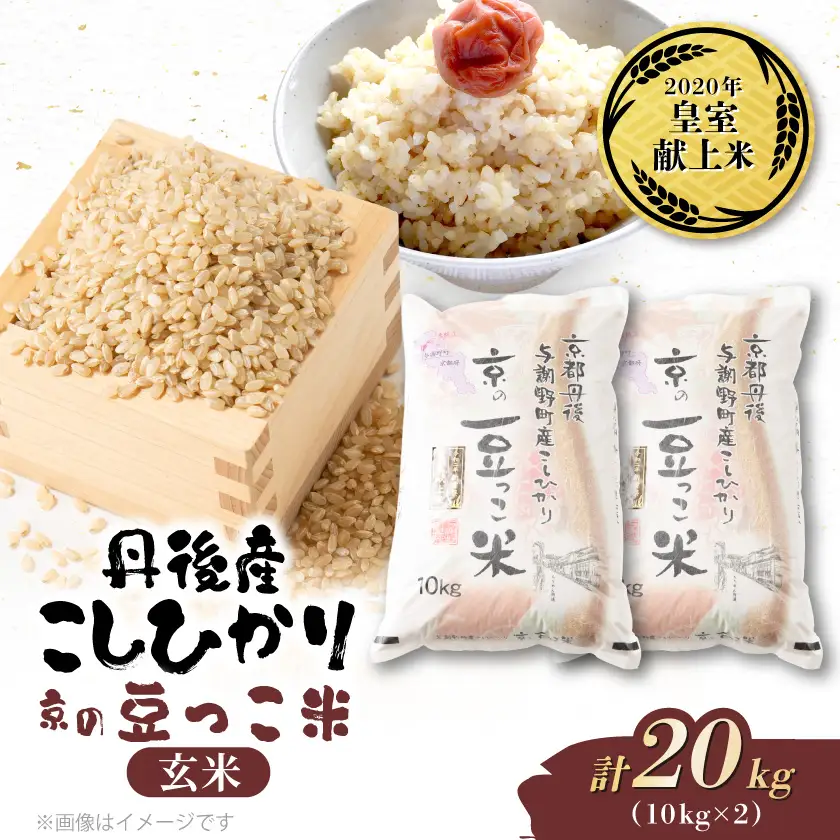 【先行受付】令和8年新米　数量限定　京都与謝野町産コシヒカリ「京の豆っこ米」玄米10kg×2袋【1724715】