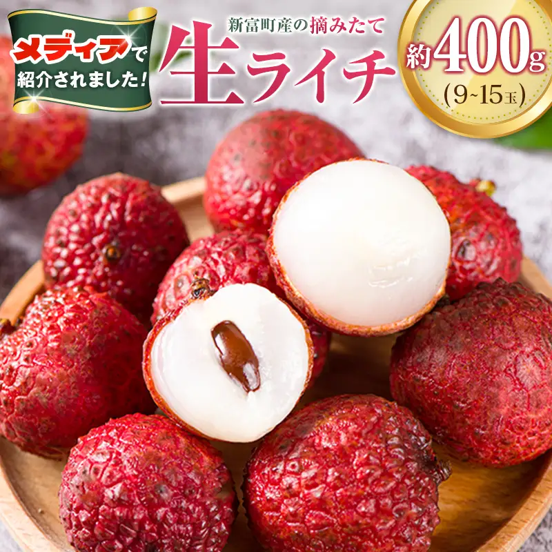 新富町産 生ライチ 約400g 9～15玉 国産 宮崎 贈答品 数量限定 B704-27