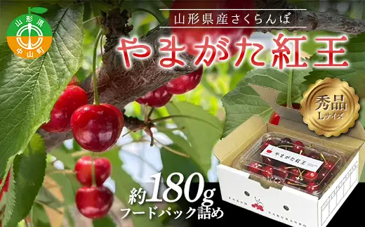 《先行予約》【令和9年産】山形県産さくらんぼ やまがた紅王 秀品 “Lサイズ” 約180g×1P フードパック詰め サクランボ 果物 フルーツ チェリー F4A-1037