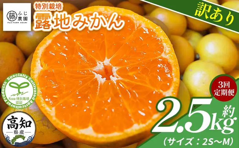 【3回定期便】ふじ農園の露地みかん 訳あり品 2.5kg(2S～M) みかん Wfn-0020