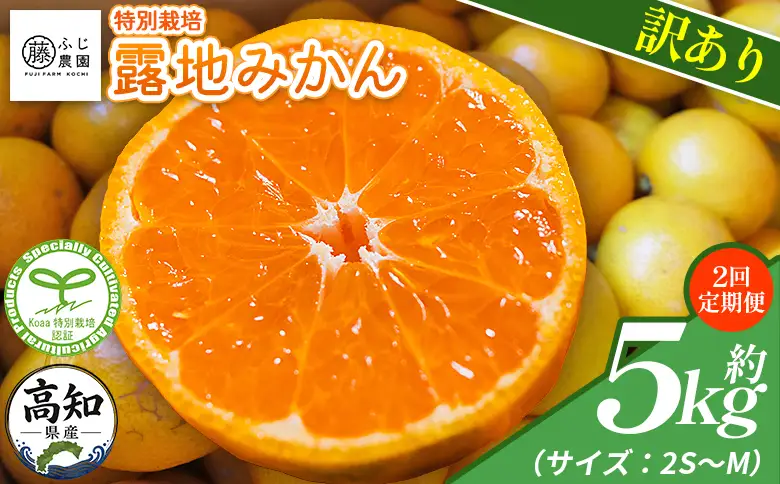 【2回定期便】ふじ農園の露地みかん 訳あり品 5kg(2S～M) みかん Wfn-0021