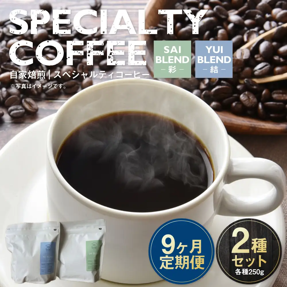 【定期便9ヶ月】自家焙煎スペシャルティコーヒー豆 250g×2種 | コーヒー豆 自家焙煎スペシャルティコーヒー ギフト 詰め合わせ
