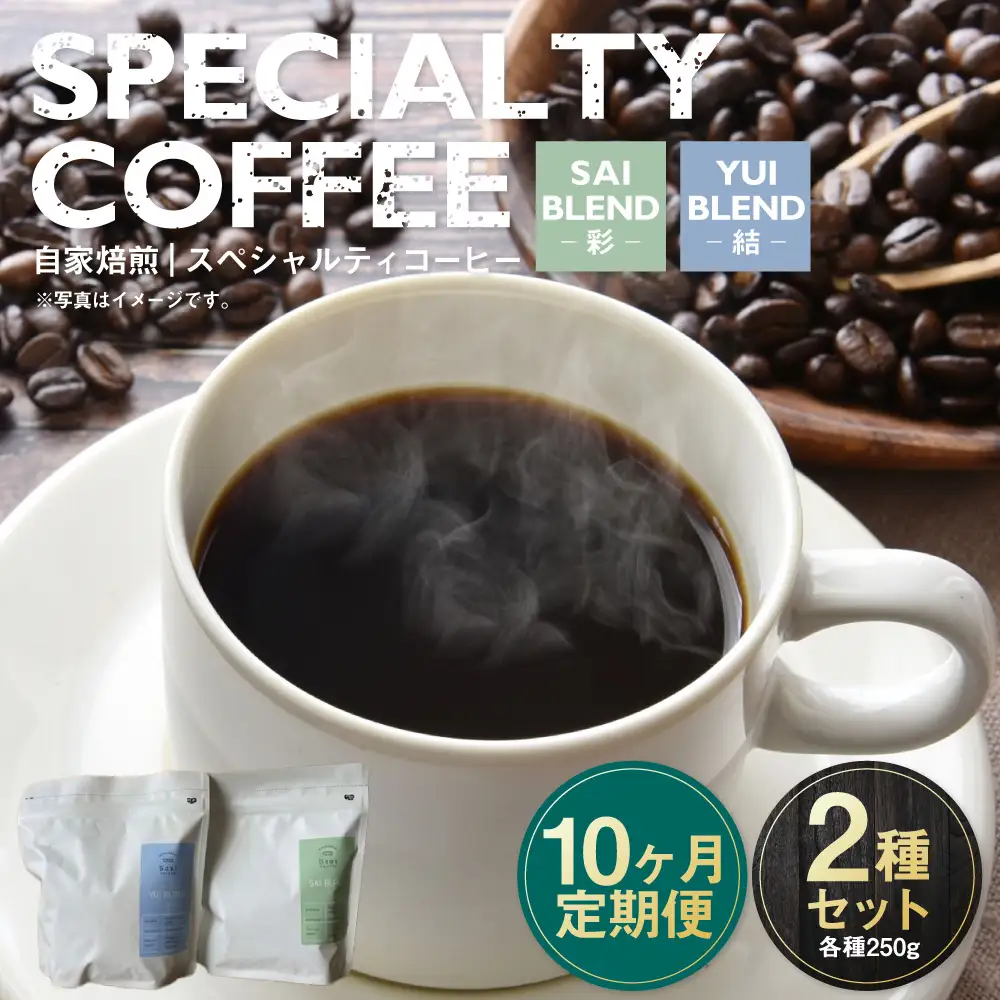 【定期便10ヶ月】自家焙煎スペシャルティコーヒー豆 250g×2種 | コーヒー豆 自家焙煎スペシャルティコーヒー ギフト 詰め合わせ