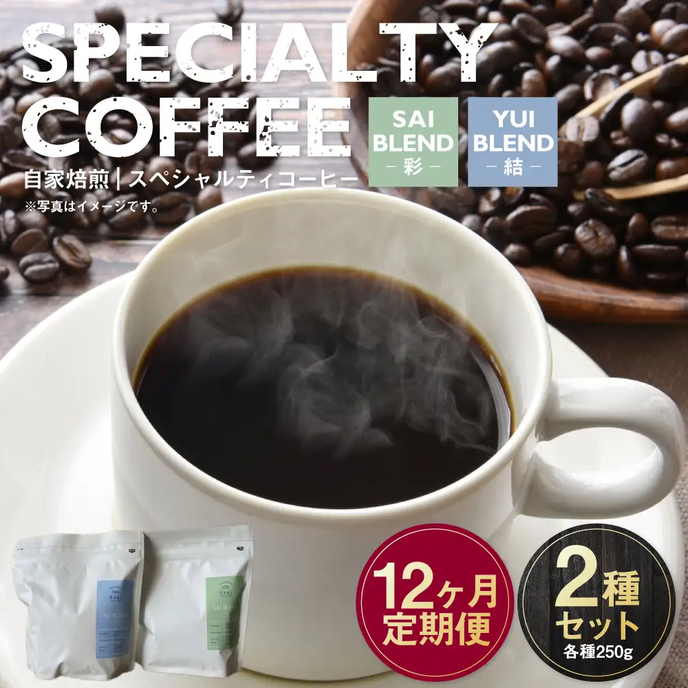 【定期便12ヶ月】自家焙煎スペシャルティコーヒー豆 250g×2種 | コーヒー豆 自家焙煎スペシャルティコーヒー ギフト 詰め合わせ