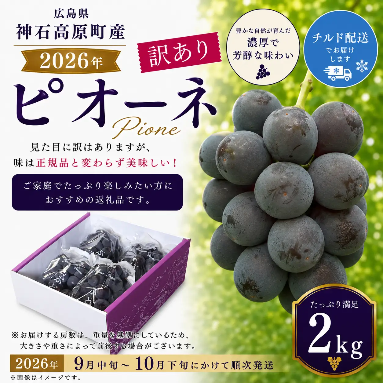 【2026年先行予約】＜訳あり＞ 家庭用ピオーネ 約2kg｜味はそのまま・ご家庭用におすすめ（チルド配送）《9月中旬-10月下旬出荷予定》期間限定 フルーツ 果物 ぶどう ブドウ 神石高原町 広島県