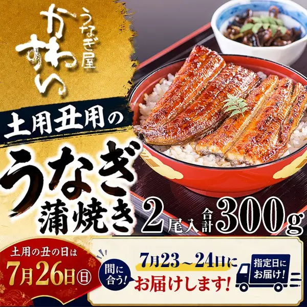 【丑の日用】国産うなぎ蒲焼き大サイズ2本セット(B1166-1) 
