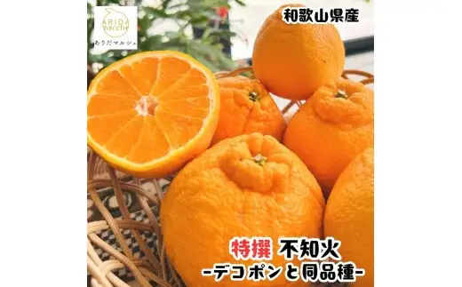 【先行予約】特選 濃厚 不知火 (通称デコポン) 10kg+200g(痛み補償分)※着日指定不可【ard260】 