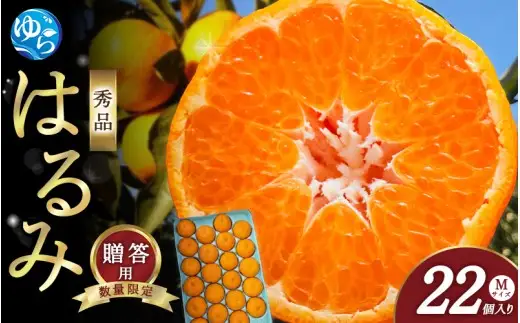 はるみ 和歌山 みかん 秀品 Mサイズ 22個入り 贈答用 / はるみ 柑橘 贈り物 フルーツ 果物 ※2027年1月中旬頃～3月上旬頃に旬頃に順次発送予定【ksmt013-r-22】