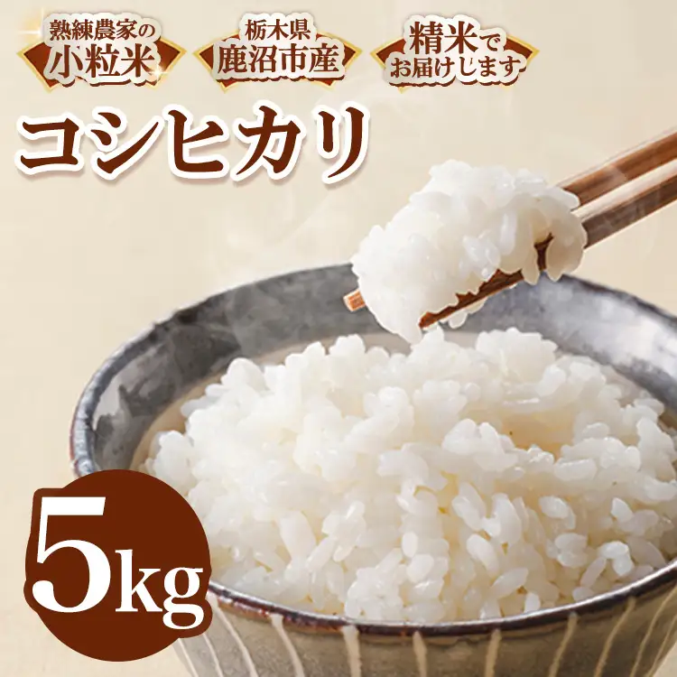 令和8年度産 栃木県鹿沼市産 コシヒカリ 小粒米(精米) 5kg | 小粒米 白米 中米