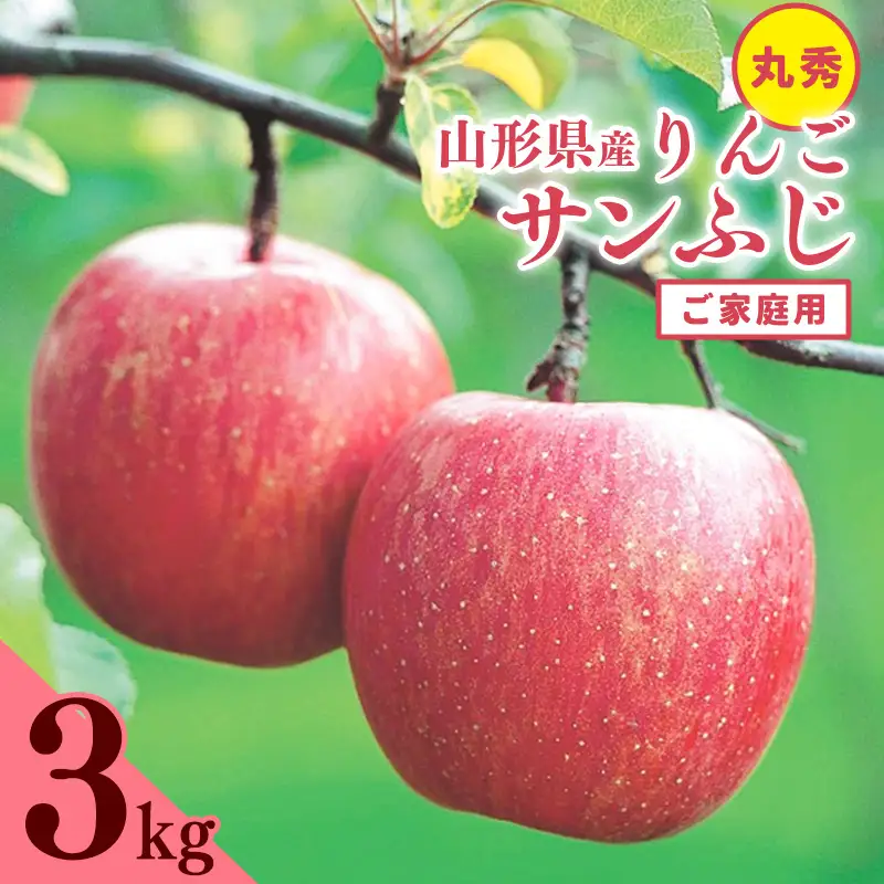 《ご家庭用》 令和8年産 りんご 「サンふじ」 丸秀品 3kg 2026年産 山形県産【2026年11月中旬頃から12月頃発送予定】　014-B-JA059