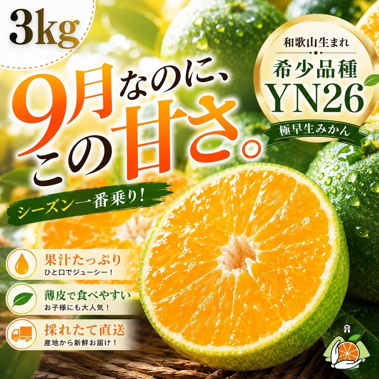 【極早生みかん】YN26 赤秀 約3kg(2S・S・Mサイズ)和歌山みかん［Mg33］