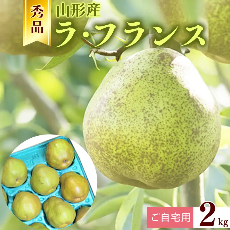 【ご自宅用】令和8年産 秀品 洋梨「ラ・フランス」2kg サイズおまかせ 山形県産【2026年10月末頃から12月上旬頃】　009-B-JA056