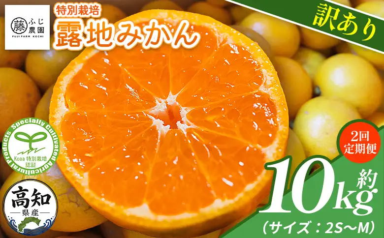 【2回定期便】ふじ農園の露地みかん 訳あり品 10kg(2S～M) 5kg×2箱 計10kg Wfn-0023