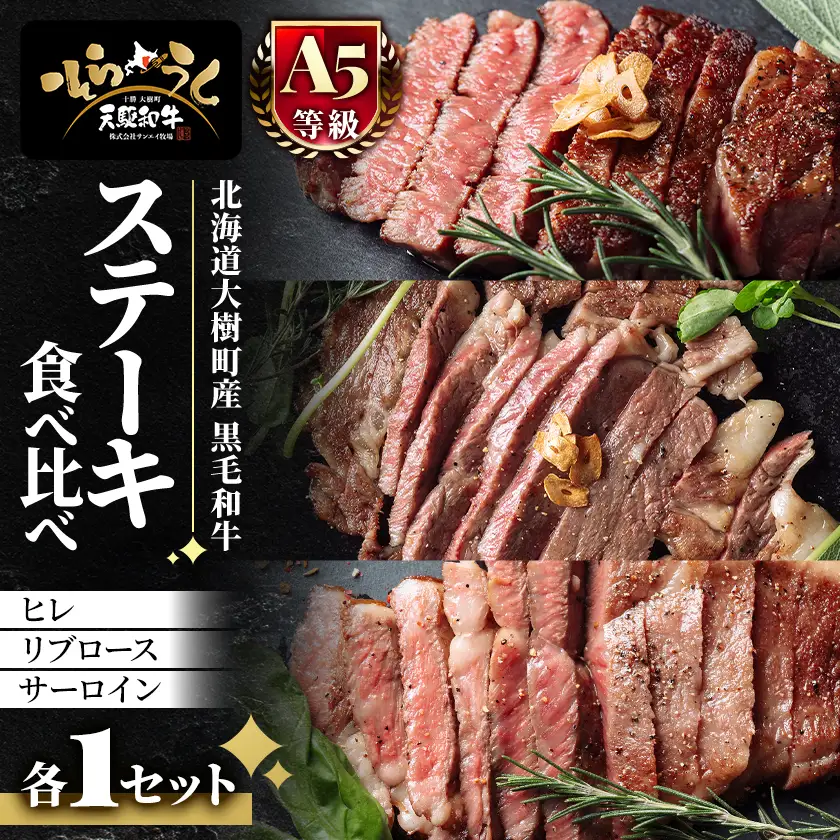 「天駆和牛(そらうし)」ステーキ食べ比べ(ヒレ/リブ/サーロイン 各1セット)【配送不可地域：離島】【1733983】