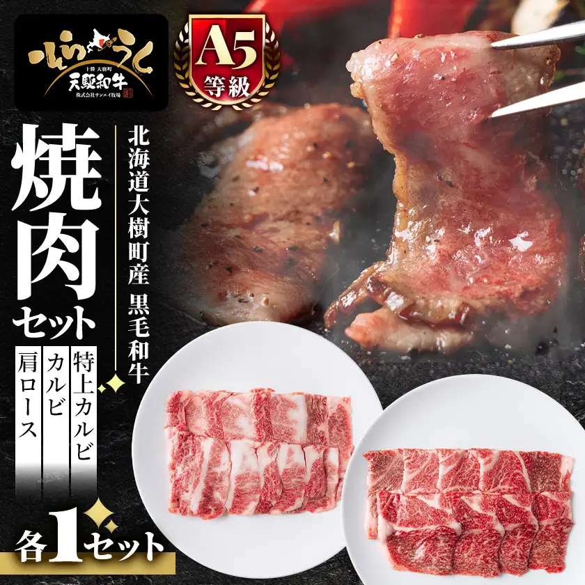 「天駆和牛(そらうし)」焼肉セット(特上カルビ/カルビ/肩ロース各1セット)【配送不可地域：離島】【1734822】