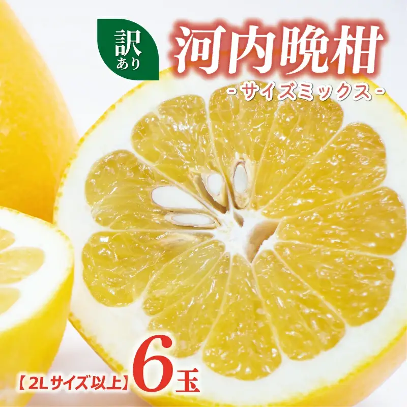訳あり 河内晩柑 2L サイズ 以上 6玉  (約 3.5kg) サイズミックス 大樹農園