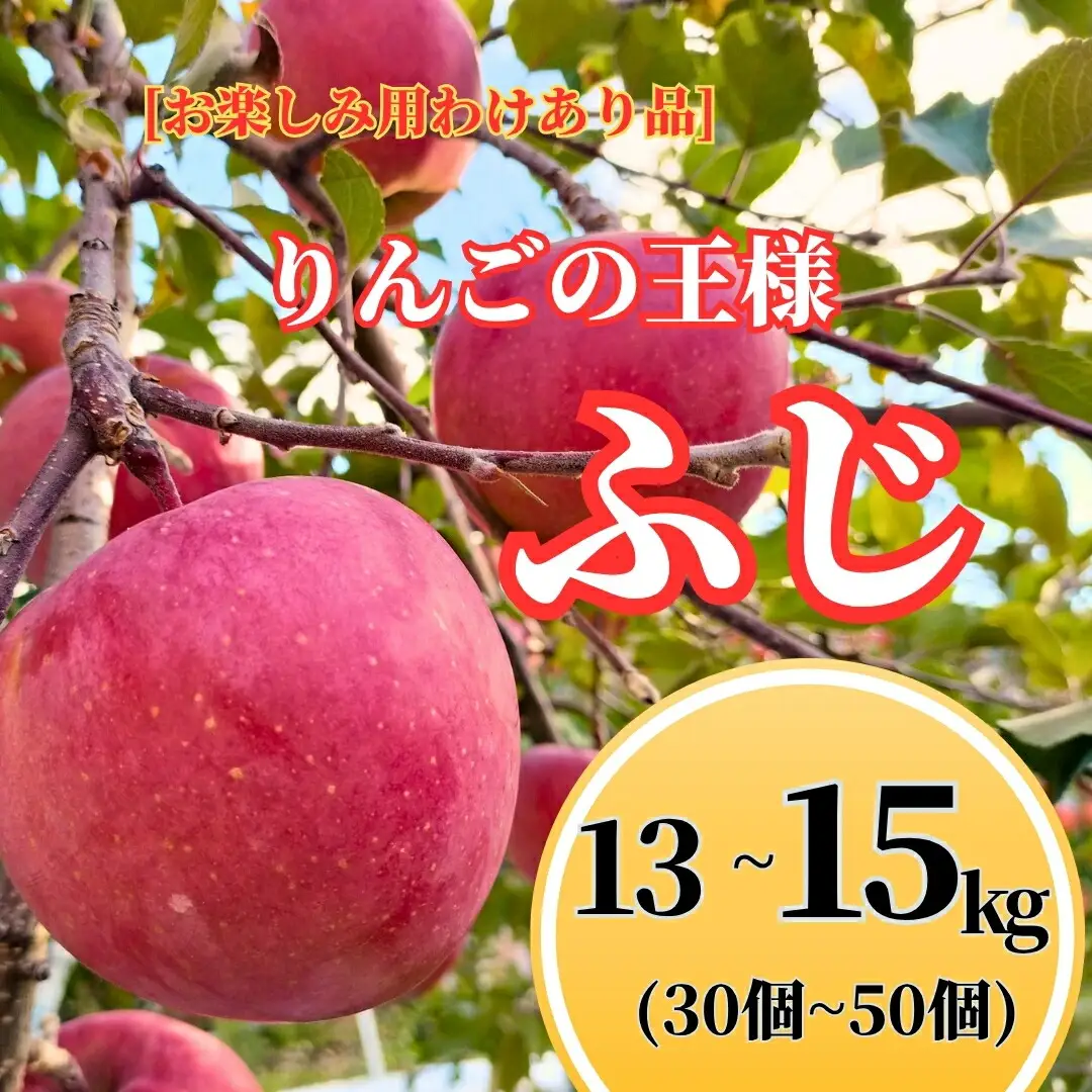ふじ [お楽しみ用わけあり品] 13 kg~15 kg (30個~50個) 【半蔵農園】 | りんご